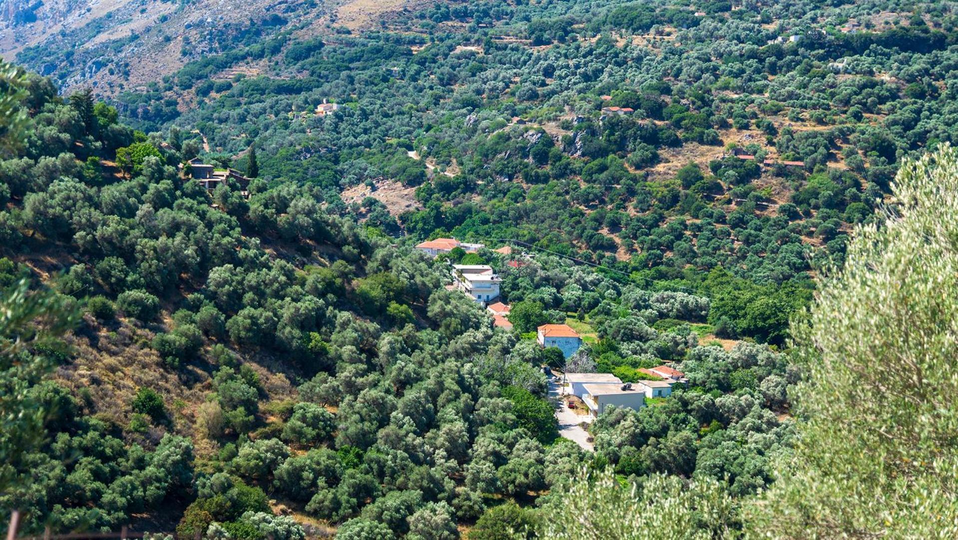 Σπίτι διακοπών Platanos House Voutas